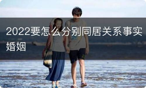 2022要怎么分别同居关系事实婚姻