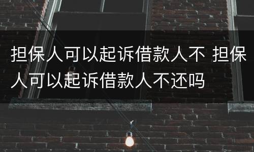 担保人可以起诉借款人不 担保人可以起诉借款人不还吗