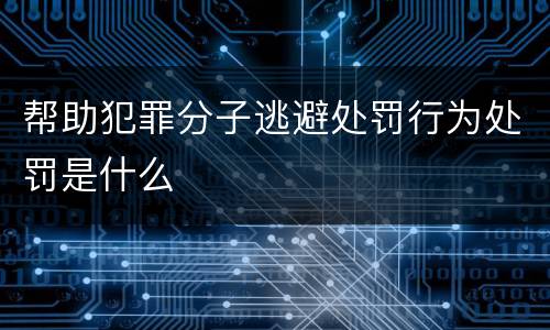 帮助犯罪分子逃避处罚行为处罚是什么