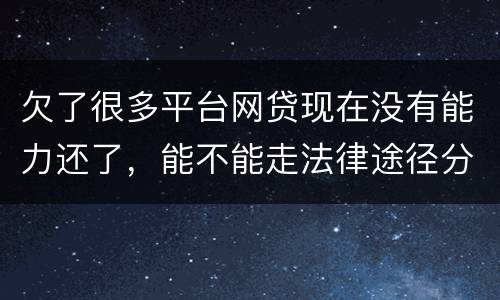 欠了很多平台网贷现在没有能力还了，能不能走法律途径分期
