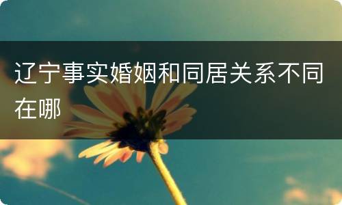 辽宁事实婚姻和同居关系不同在哪