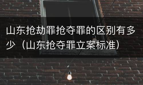山东抢劫罪抢夺罪的区别有多少（山东抢夺罪立案标准）
