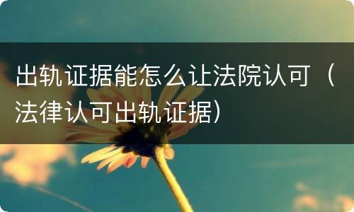 出轨证据能怎么让法院认可（法律认可出轨证据）