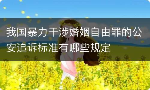 我国暴力干涉婚姻自由罪的公安追诉标准有哪些规定