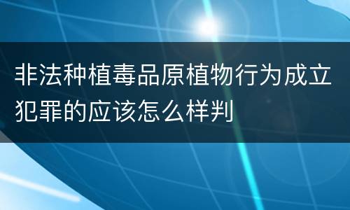 非法种植毒品原植物行为成立犯罪的应该怎么样判