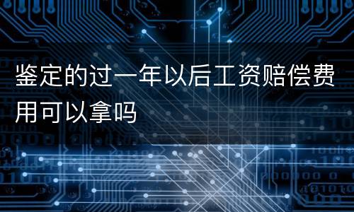 鉴定的过一年以后工资赔偿费用可以拿吗