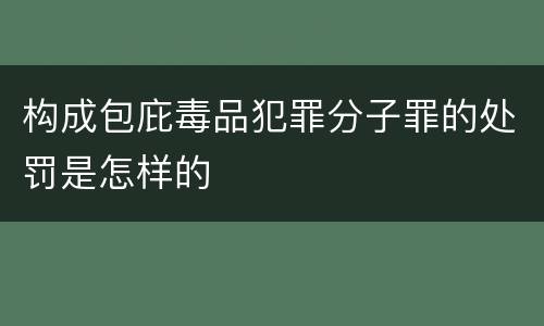 构成包庇毒品犯罪分子罪的处罚是怎样的