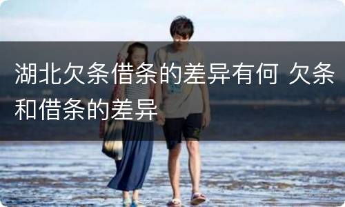 湖北欠条借条的差异有何 欠条和借条的差异