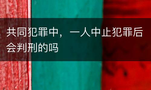 共同犯罪中，一人中止犯罪后会判刑的吗