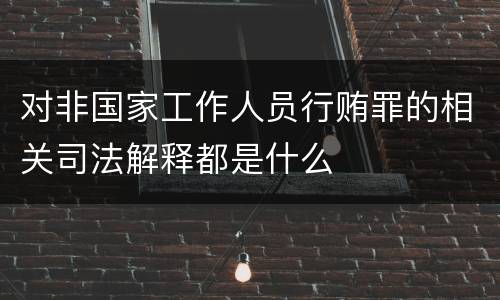 对非国家工作人员行贿罪的相关司法解释都是什么