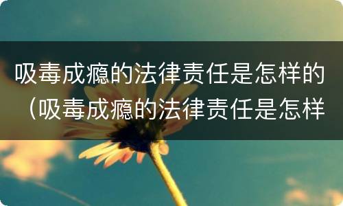 吸毒成瘾的法律责任是怎样的（吸毒成瘾的法律责任是怎样的呢）