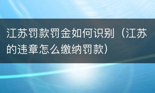 江苏罚款罚金如何识别（江苏的违章怎么缴纳罚款）