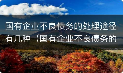 国有企业不良债务的处理途径有几种（国有企业不良债务的处理途径有几种方法）