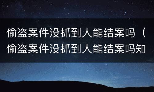 偷盗案件没抓到人能结案吗（偷盗案件没抓到人能结案吗知乎）