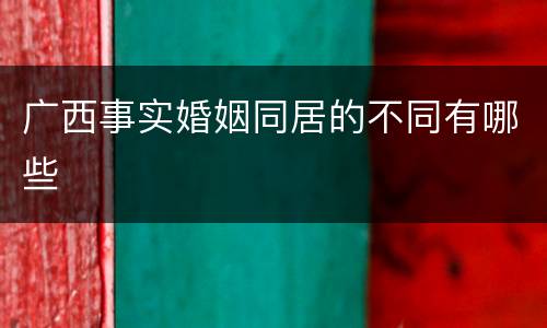 广西事实婚姻同居的不同有哪些