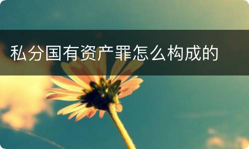 私分国有资产罪怎么构成的