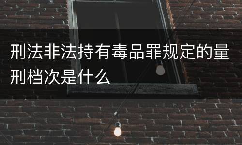 刑法非法持有毒品罪规定的量刑档次是什么