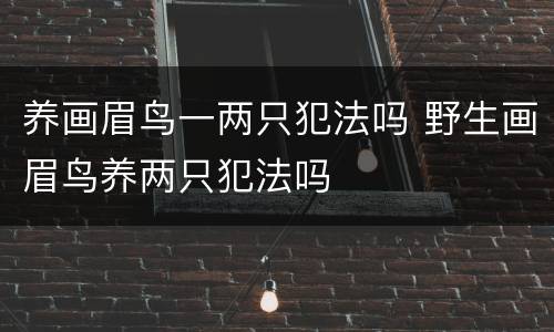 养画眉鸟一两只犯法吗 野生画眉鸟养两只犯法吗