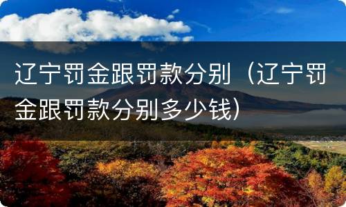 辽宁罚金跟罚款分别（辽宁罚金跟罚款分别多少钱）