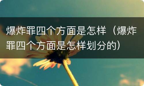 爆炸罪四个方面是怎样（爆炸罪四个方面是怎样划分的）