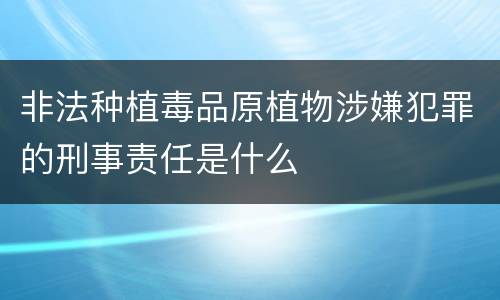 非法种植毒品原植物涉嫌犯罪的刑事责任是什么