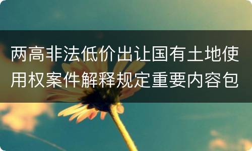 两高非法低价出让国有土地使用权案件解释规定重要内容包括什么