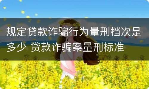 规定贷款诈骗行为量刑档次是多少 贷款诈骗案量刑标准