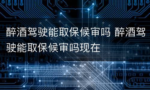 醉酒驾驶能取保候审吗 醉酒驾驶能取保候审吗现在