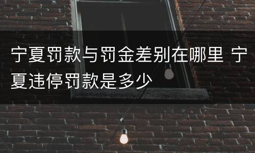 宁夏罚款与罚金差别在哪里 宁夏违停罚款是多少