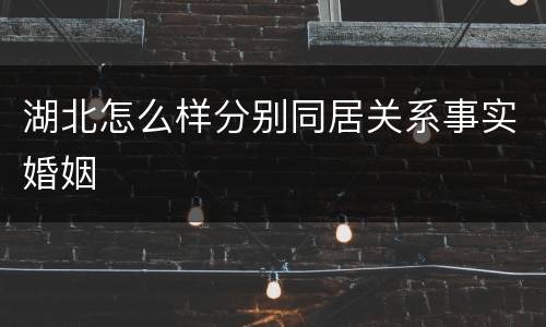 湖北怎么样分别同居关系事实婚姻
