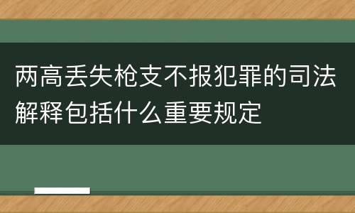 两高丢失枪支不报犯罪的司法解释包括什么重要规定