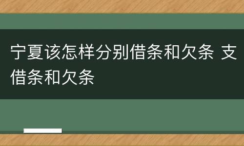 宁夏该怎样分别借条和欠条 支借条和欠条