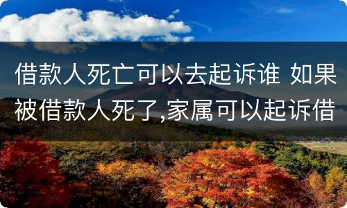 借款人死亡可以去起诉谁 如果被借款人死了,家属可以起诉借款人吗