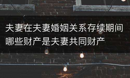 夫妻在夫妻婚姻关系存续期间哪些财产是夫妻共同财产