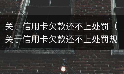 关于信用卡欠款还不上处罚（关于信用卡欠款还不上处罚规定）