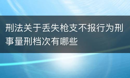 刑法关于丢失枪支不报行为刑事量刑档次有哪些