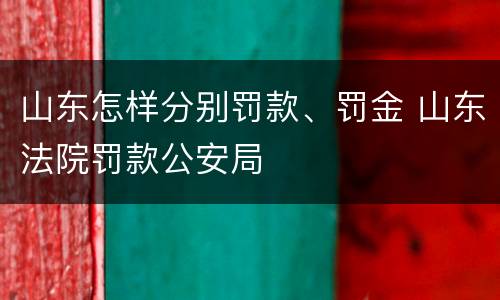 山东怎样分别罚款、罚金 山东法院罚款公安局