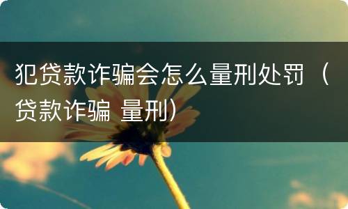 犯贷款诈骗会怎么量刑处罚（贷款诈骗 量刑）