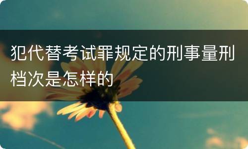 犯代替考试罪规定的刑事量刑档次是怎样的