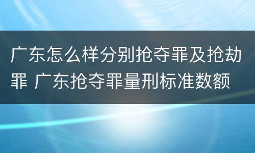 广东怎么样分别抢夺罪及抢劫罪 广东抢夺罪量刑标准数额