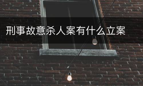 刑事故意杀人案有什么立案