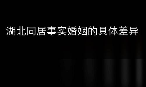 湖北同居事实婚姻的具体差异
