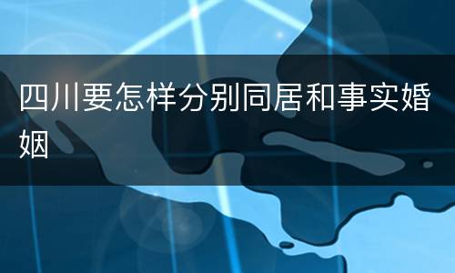 四川要怎样分别同居和事实婚姻