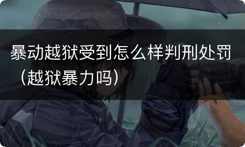 暴动越狱受到怎么样判刑处罚（越狱暴力吗）