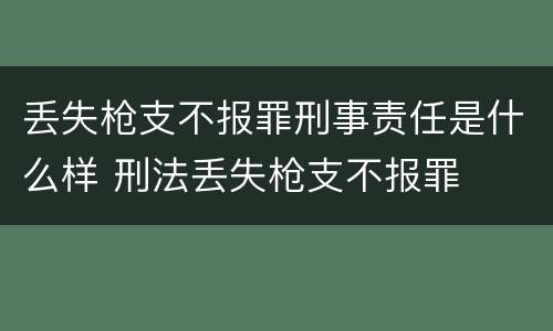 丢失枪支不报罪刑事责任是什么样 刑法丢失枪支不报罪
