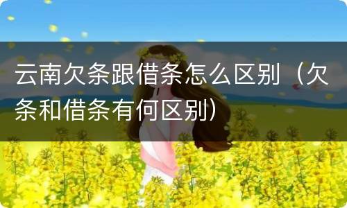 云南欠条跟借条怎么区别（欠条和借条有何区别）