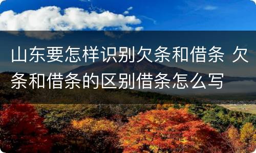 山东要怎样识别欠条和借条 欠条和借条的区别借条怎么写