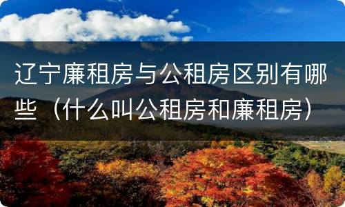 辽宁廉租房与公租房区别有哪些（什么叫公租房和廉租房）