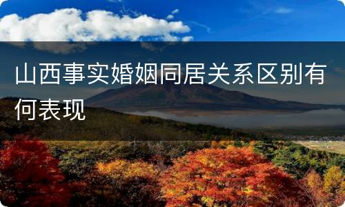 山西事实婚姻同居关系区别有何表现
