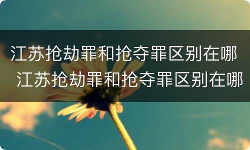 江苏抢劫罪和抢夺罪区别在哪 江苏抢劫罪和抢夺罪区别在哪里